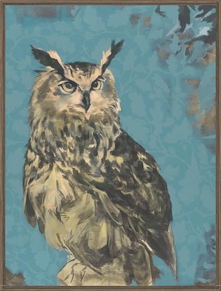 30 x 40 Horned Owl Stare (FC)