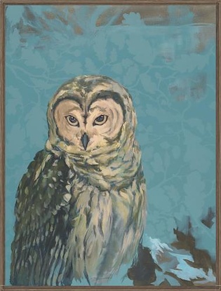 30 x 40 Snowy Owl Stare (FC)