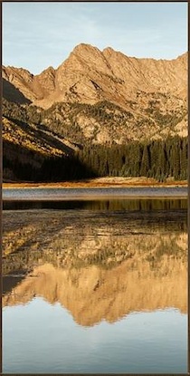 24 x 48 Golden Aspens in Autumn II (EP)