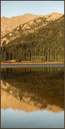 24 x 48 Golden Aspens in Autumn III (EP)