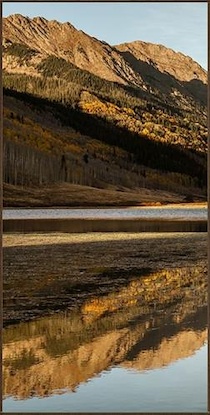 24 x 48 Golden Aspens in Autumn I (EP)