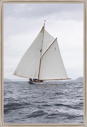 50 x 75 Fleeting Glide (LN)