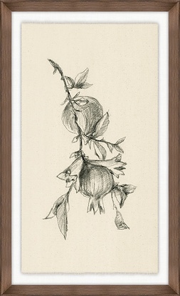 14 x 23 Fruiting Florals IV (GF)