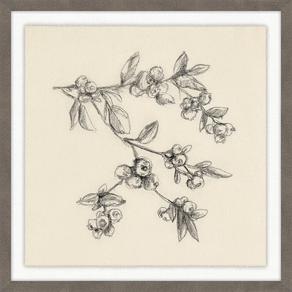 20 x 20 Fruiting Florals VI (GF)