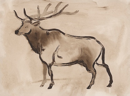 19 x 14 Western Wildlife III (WNAT)