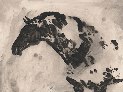 24 x 18 Appaloosa I (WNAT)