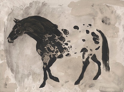 24 x 18 Appaloosa II (WNAT)