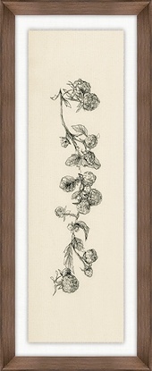 9 x 22 Fruiting Florals II (GF)