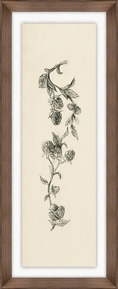 9 x 22 Fruiting Florals III (GF)