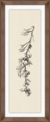 9 x 22 Fruiting Florals I (GF)
