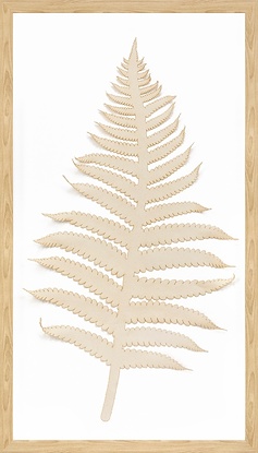 20 x 35 Soft Steps III (GFOR)