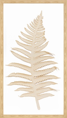 20 x 35 Soft Steps IV (GFOR)