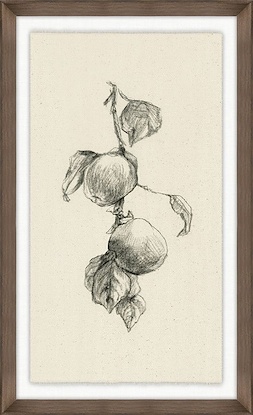 14 x 23 Fruiting Florals IX (GF)