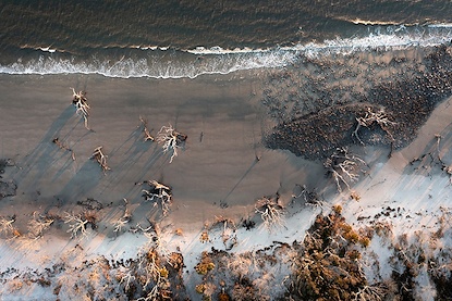 60 x 40 Driftwood Beach (MT)