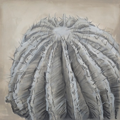 40 x 40 Desert Haze (IBG)