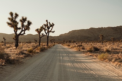 45 x 30 Lightfall in the Mojave III (FC)