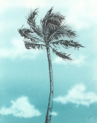 30 x 38 Del Mar Palms  III (LN)