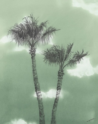 30 x 38 Del Mar Palms  VI (LN)