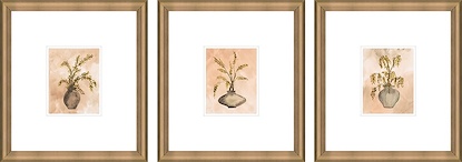 60 x 22 Botanical in Sepia Set (GF)