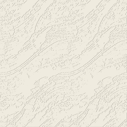 50 x 396 Erosion Study (DM)