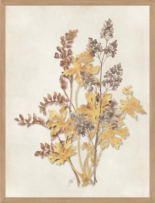 24 x 32 Botanical Silhouette III (GFOR)