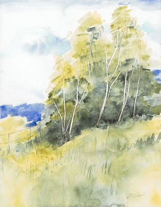 14.75 X 19 Afternoon Sun I* (OG)
