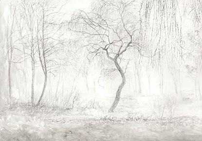 20 X 14 The Beauty of Trees IV* (OG)