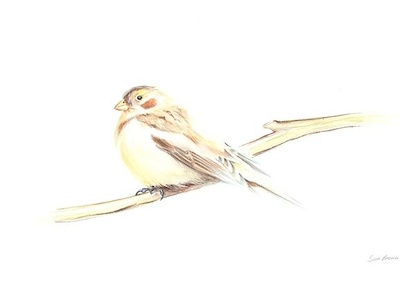 22 X 15 Bird on a Twig I* (OG)