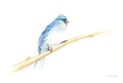 22 X 15 Bird on a Twig III* (OG)