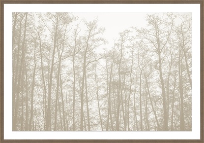 60 x 42 Tree Silhouettes 1 (GF)
