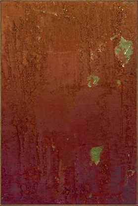 40 x 60 Fluorescent Field (NG)