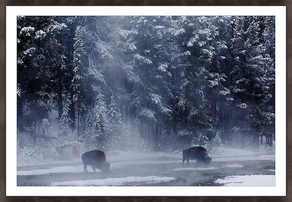 72 x 50 Thermal Grazing II (GF)