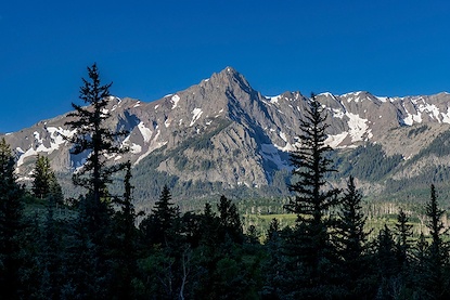60 x 40 Tree Line Ridge (FC)