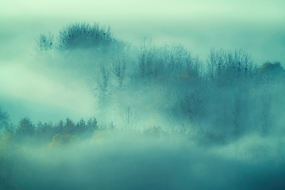 60 x 40 Veiled Stillness (FC)