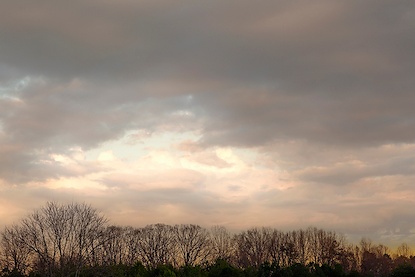 45 x 30 Muted Horizons (FC)