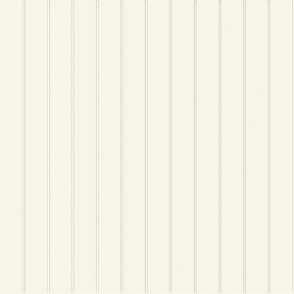 50 x 396 Shiplap (DM)