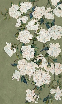 30 x 50 Verdi Vincent I (IBG)