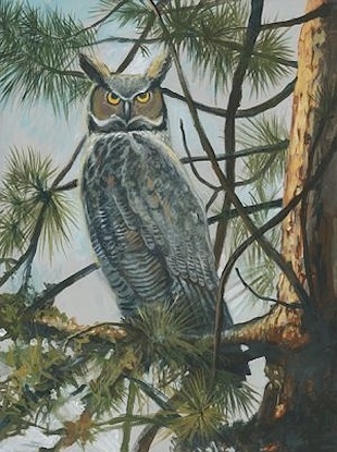 30 x 40 Mr. Owl (IBG)