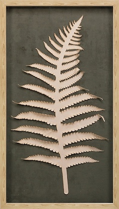 20 x 35 Soft Steps VIII (GFOR)