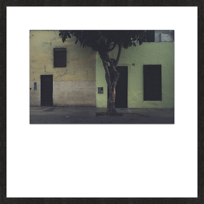 24 x 24 Lime and Shadow (GF)