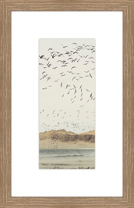 9 x 14 The Migration (GF)