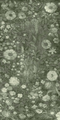 30 x 60 Foliage G (TA)