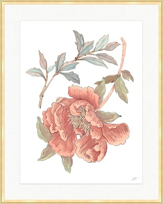 30 x 37 Petal Pusher II (GF)
