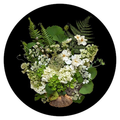 30 x 30 Green and White II (CIR-EP)