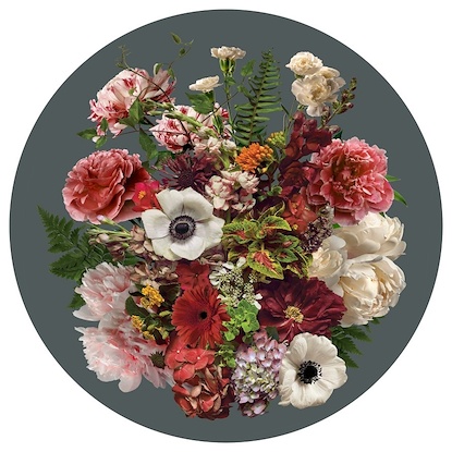 48 x 48 Anemone (CIR-EP)