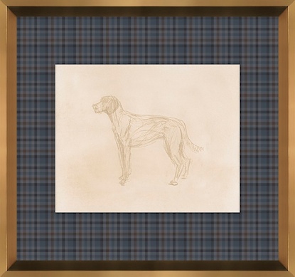 16 x 15 Canine Impression IV (GF)