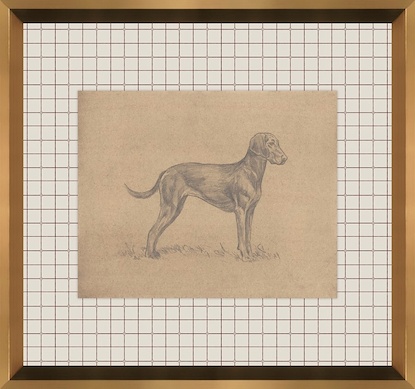 16 x 15 Canine Impression V (GF)