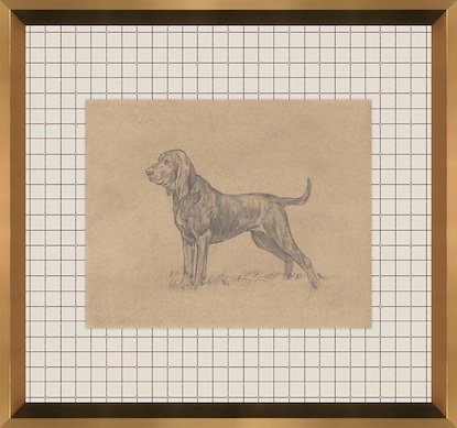 16 x 15 Canine Impression VI (GF)