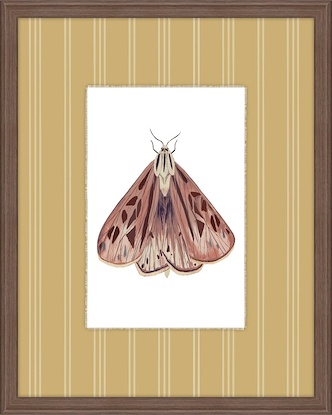 20 x 25 Insectopia III (GF)