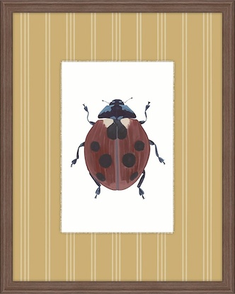 20 x 25 Insectopia IV (GF)